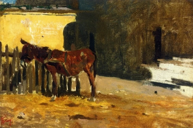 Un asino nel cortile